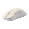ASUS Wireless MD102 pele Universāla Labās rokas RF Wireless + Bluetooth Optiskā 1600 DPI