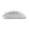 ASUS Wireless MD102 pele Universāla Labās rokas RF Wireless + Bluetooth Optiskā 1600 DPI