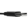 Targus AEH102GL austiņas/headset Vadu Austiņas, lentes veida Zvani/Mūzika USB Type-A Melns