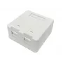 Lanview LVN127767 kontaktligzda 2 x RJ-45, balta
