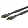 Vivolink PRODPAM20 DisplayPort kabelis 20 m Melns