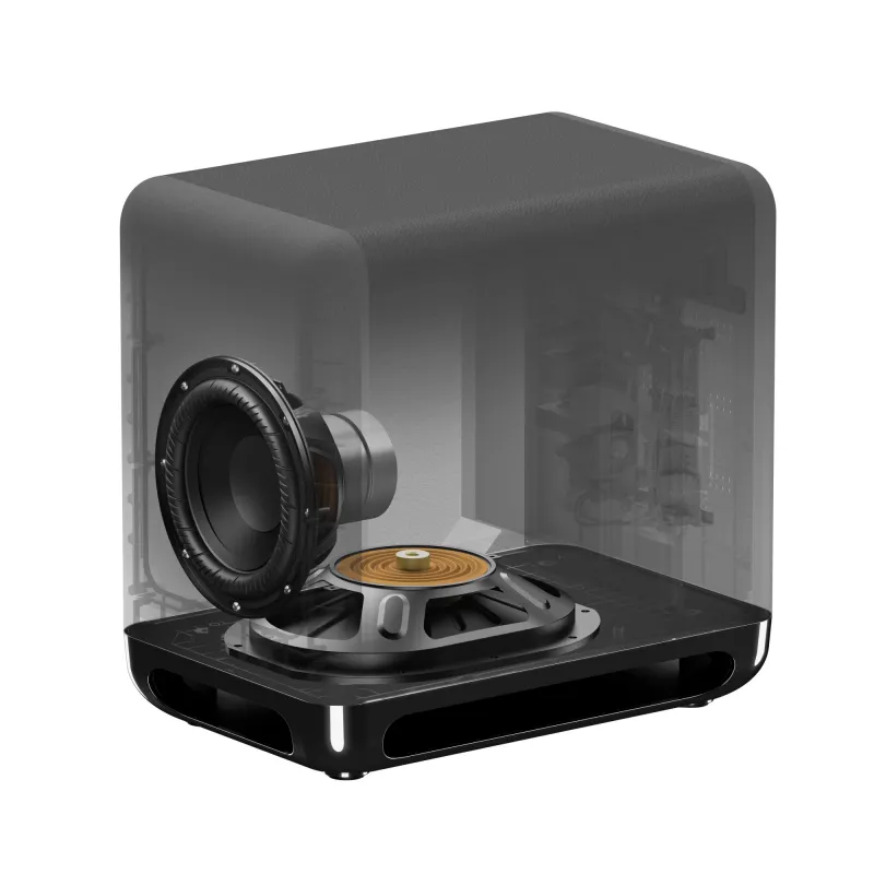 Pasīvais basu skaļrunis Sony SA-SW5, 300 W, melns