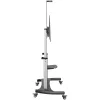 StarTech.com Mobilais TV statīvs - Lieljaudas TV ratiņi 60-100 collu displejam (100kg/220lb) - Augstumā regulējams ritošs plakanekrāna statīvs uz riteņiem - Universāls televizora stiprinājums ar plauktiem