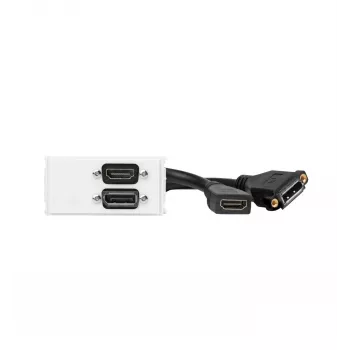 Vivolink WI221267 kontaktligzda HDMI + DisplayPort balta