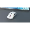 Glorious Gaming Glorious Model D Wireless - Matte balta, Right-hand, RF Wireless, 19000 DPI, balta