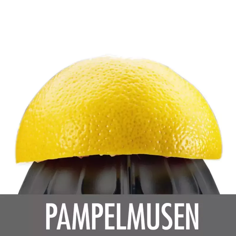 Elektriskā citrusaugļu prese Gastroback Home Culture 100 W melna nerūsējošais tērauds