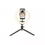 Apgaismes gredzens Denver RLS-801 80 LED 600 lm 6500 K USB