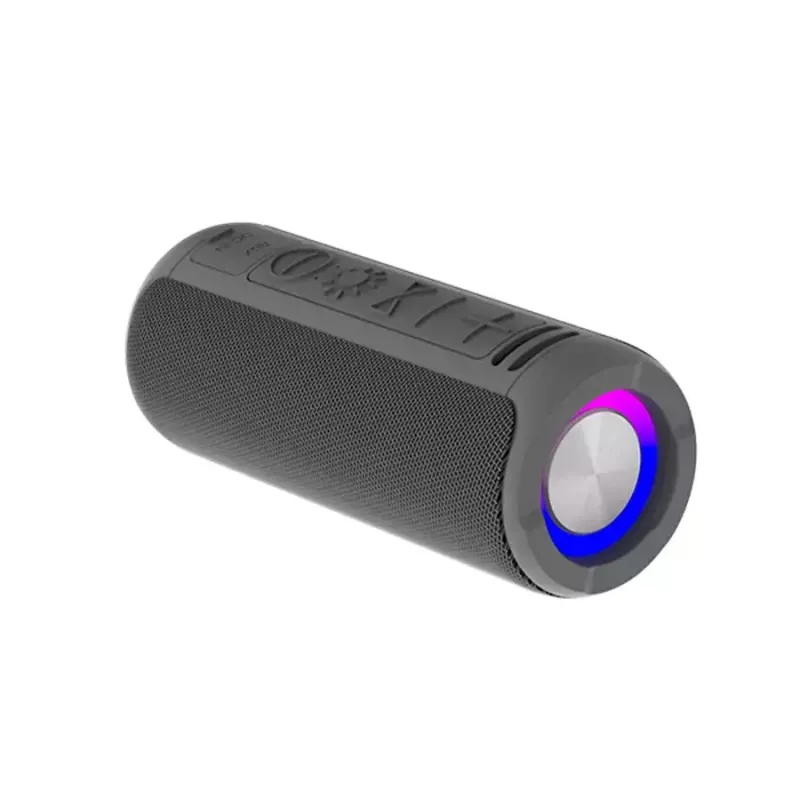 Mono pārnēsājamais skaļrunis Denver BTV-213GR melns