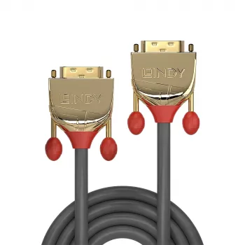 Lindy 1 m DVI-D Dual Link kabelis, Gold Line