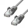 Tīkla kabelis ProXtend CAT5e U/UTP CCA PVC pelēks 0,25 m