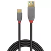 Lindy 0,15 m USB 3.2 Type-C uz A adaptera kabelis, 10 Gbps, Anthra Line