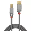 Lindy 1 m USB 2.0 tipa A uz B kabelis, Cromo Line