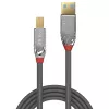 Lindy 0.5m USB 3.2 Type A to B kabelis, 5Gbps, Cromo Line