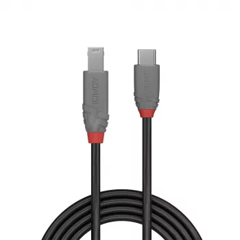 Lindy 1 m USB 3.2 C tipa–B tipa kabelis, Anthra Line