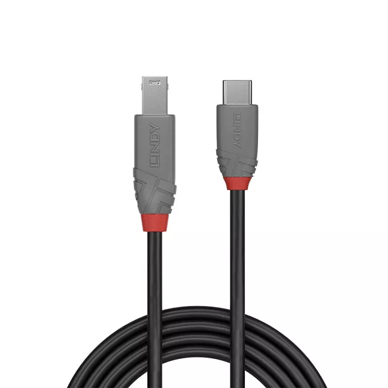Lindy 1 m USB 3.2 C tipa–B tipa kabelis, Anthra Line