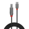 Lindy 1m USB 2.0 Type C to B kabelis, Anthra Line