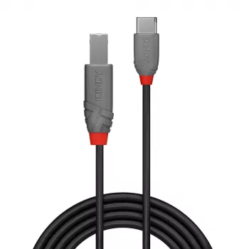 Lindy 1m USB 2.0 Type C to B kabelis, Anthra Line
