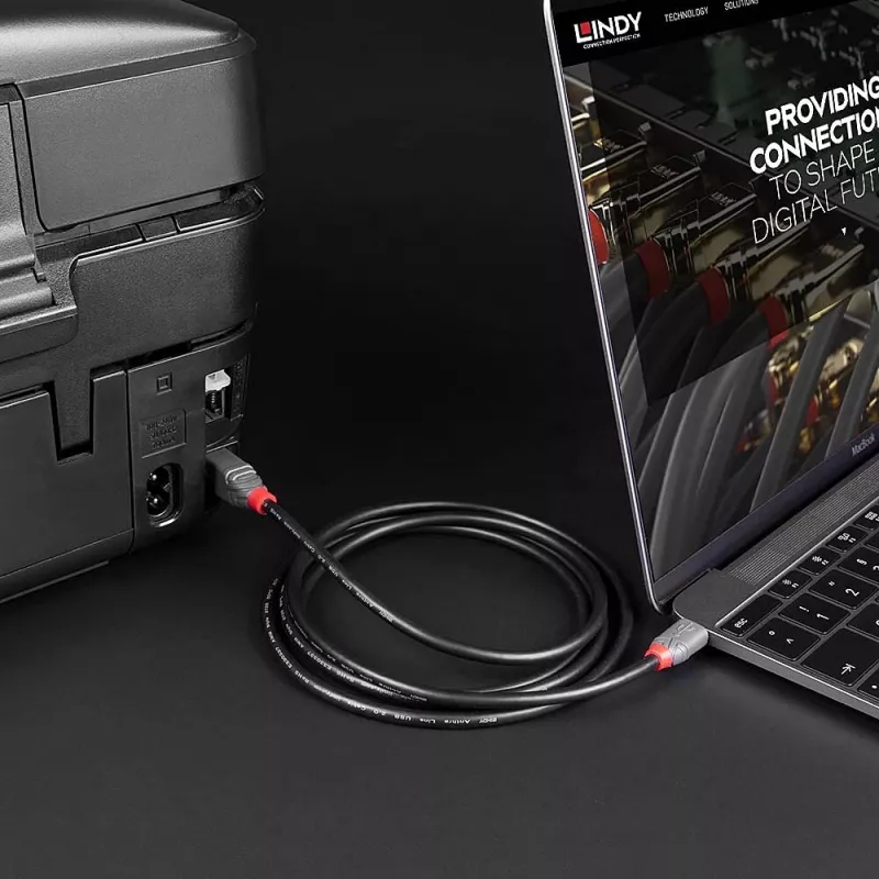 Lindy 1m USB 2.0 Type C to B kabelis, Anthra Line