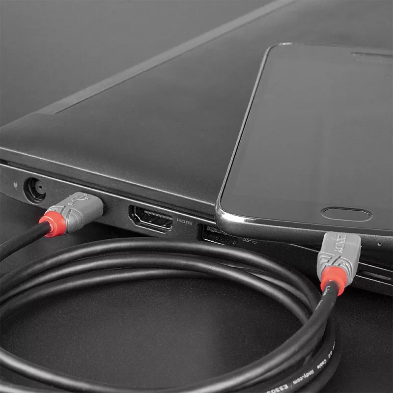 Lindy 3m USB 2.0 Type C to Micro-B kabelis, Anthra Line