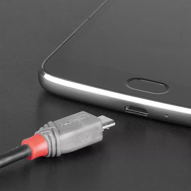 Lindy 3m USB 2.0 Type C to Micro-B kabelis, Anthra Line