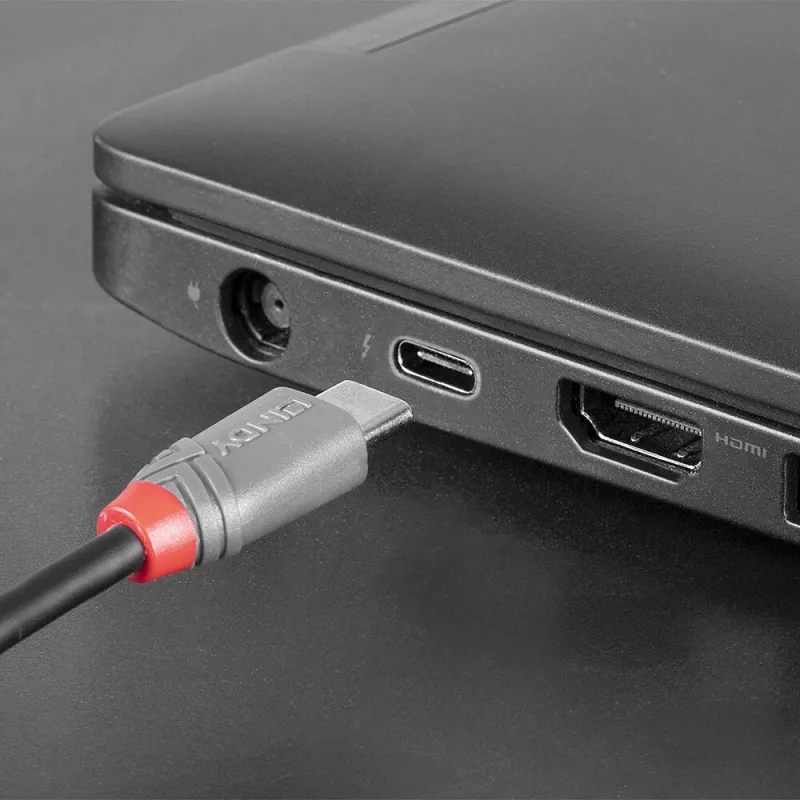 Lindy 2m USB 2.0 Type C to Micro-B kabelis, Anthra Line
