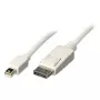 Lindy 2m Mini DisplayPort–DisplayPort kabelis, balts