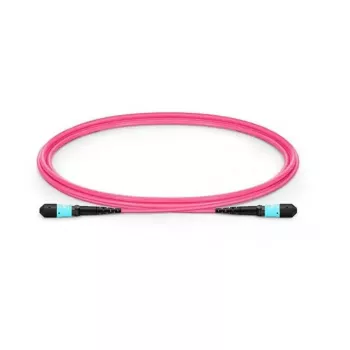 Lanview LVO230402-MTP InfiniBand/optiskās šķiedras kabelis 2 m violets