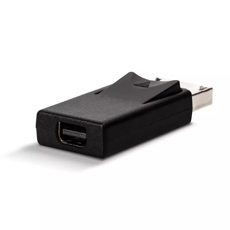 Adapteris DisplayPort uz Mini DisplayPort Lindy 41089