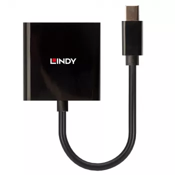 Lindy Mini DisplayPort uz DVI aktīvais pārveidotājs 0,16 m, melns