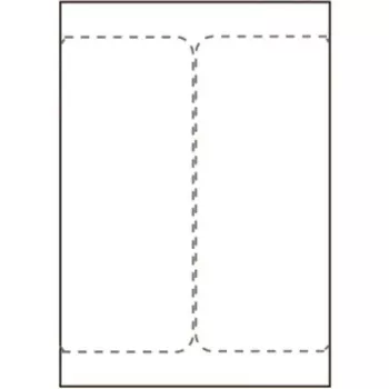 Printera uzlīme Capture SHIPLABEL105X220-I2P augsta izturība