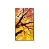 Sharp MultiSync PN-M982 Interaktīvais plakanais panelis 2,48 m (97,5 collas) LED 550 cd/m² 4K Ultra HD Melns 24/7