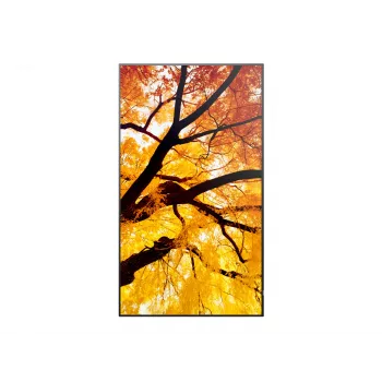 Sharp MultiSync PN-M982 Interaktīvais plakanais panelis 2,48 m (97,5 collas) LED 550 cd/m² 4K Ultra HD Melns 24/7