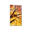 Sharp MultiSync PN-M982 Interaktīvais plakanais panelis 2,48 m (97,5 collas) LED 550 cd/m² 4K Ultra HD Melns 24/7
