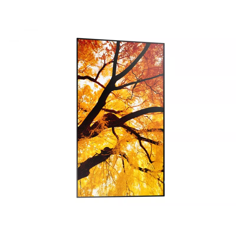 Sharp MultiSync PN-M982 Interaktīvais plakanais panelis 2,48 m (97,5 collas) LED 550 cd/m² 4K Ultra HD Melns 24/7