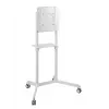 Vivolink VLFS3770 TV stiprinājums/statīvs 177,8 cm (70 collas) Balts