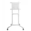Vivolink VLFS3770 TV stiprinājums/statīvs 177,8 cm (70 collas) Balts