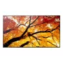 Digitālās izkārtnes plakanais panelis NEC MultiSync M862 — 86 collas (2,18 m) LCD, 4K UHD 3840×2160, 550 cd/m², 24/7, Melns