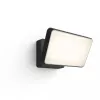 Āra viedais sienas gaismeklis Philips Hue balta Welcome Floodlight, 20.5W LED, 220–240V ieeja, 24V spuldze, melns, 160×220×153 mm