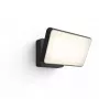 Āra viedais sienas gaismeklis Philips Hue balta Welcome Floodlight, 20.5W LED, 220–240V ieeja, 24V spuldze, melns, 160×220×153 mm