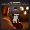 Viedā spuldze Philips ST64 Edison E27 Bluetooth/Zigbee, 7 W, caurspīdīga, 60×135 mm