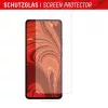 Displex ekrāna aizsargs (10H) Xiaomi 13/13T Pro, Eco montāžas rāmis, izturīgs pret skrāpējumiem