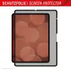 Displex TABLET PRIVACY SAFE noņemams divvirzienu privātuma filtrs iPad Pro 13 collu/Air 13 collu (2024/2025)