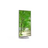 Sharp MultiSync EA272Q datora monitors 68,6 cm (27 collas) 2560 x 1440 pikseļi 4K Ultra HD LCD balts