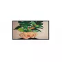 Philips Signage Solutions D-Line Digital signage flat panel 127 cm (50 collas) VA 500 cd/m² 4K Ultra HD Melns
