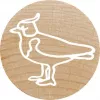 Colop Zīmogs Colop 165224 Apaļš Gumijas Koks 3 cm