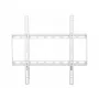 Techly ICA-PLB-162MW TV stiprinājums/statīvs 139,7 cm (55 collas) Balts