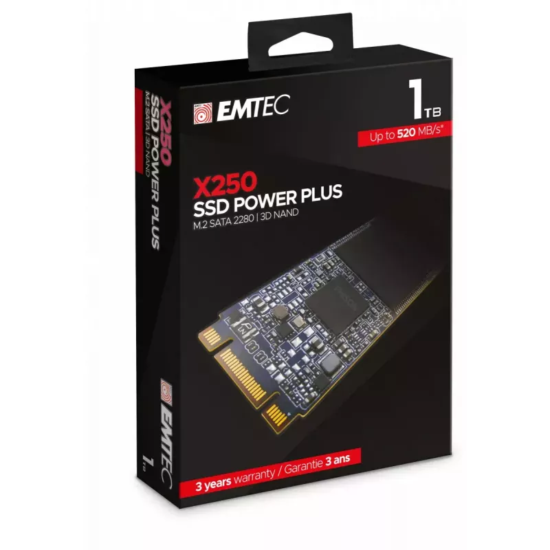 SSD disks Emtec 1 TB M.2 Serial ATA III X250