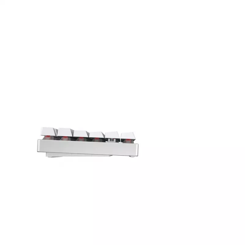 CHERRY MX 8.2 TKL Wireless RGB tastatūra Spēlēm RF Wireless + Bluetooth QWERTZ Vācu Balts