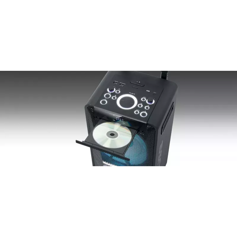 Portatīvais skaļrunis Muse M-1920 DJ — 300 W RMS, maiņstrāvas barošana, 3,5 mm ieeja, 256×287×534 mm, 7 kg, melns