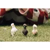Rotaļu figūras Schleich FARM WORLD Vistas draugi Daudzkrāsaina 42574